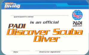    PADI Discover Scuba Diving