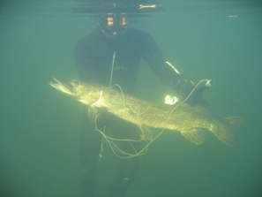 Подводная охота и рыбалка - активный отдых