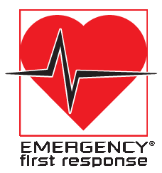 Курсы EFR